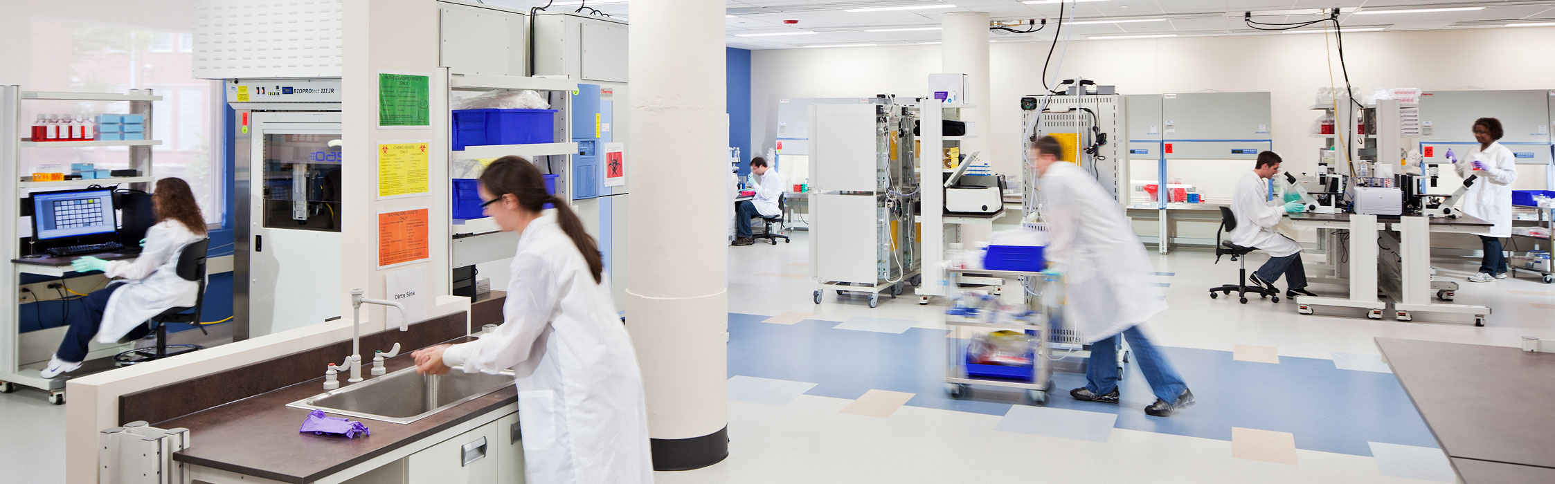 People Working in a Laboratory